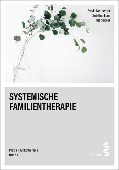 Systemische Familientherapie (Paperback)