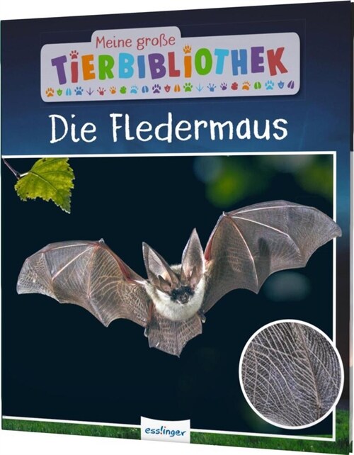 Meine große Tierbibliothek: Die Fledermaus (Hardcover)