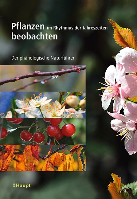 Pflanzen im Rhythmus der Jahreszeiten beobachten (Paperback)