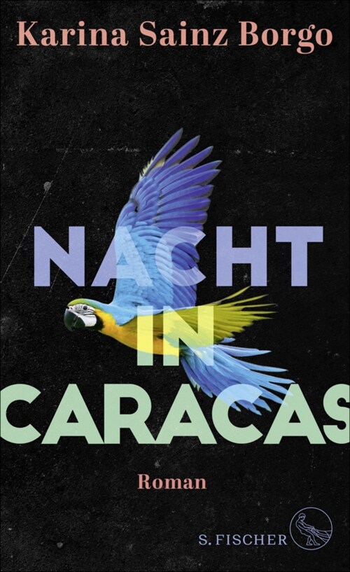 Nacht in Caracas (Hardcover)