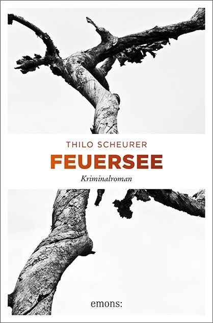 Feuersee (Paperback)