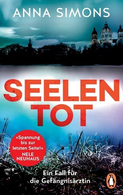 Seelentot (Paperback)