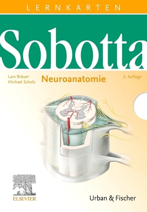 Neuroanatomie, Lernkarten (Cards)