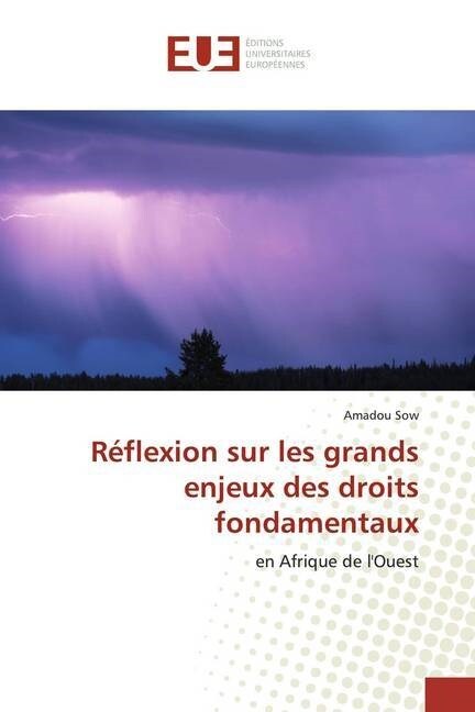 Reflexion sur les grands enjeux des droits fondamentaux (Paperback)