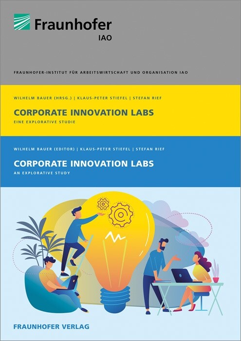 Corporate Innovation Labs (Paperback)