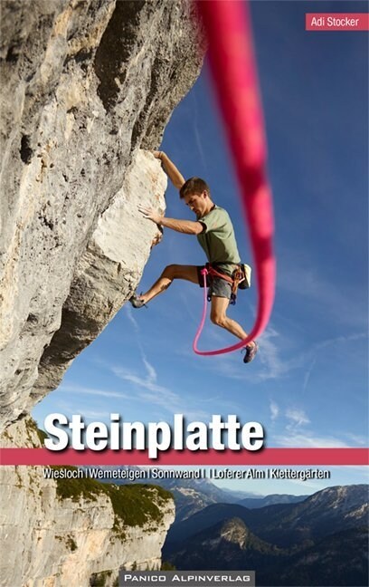 Kletterfuhrer Steinplatte (Paperback)