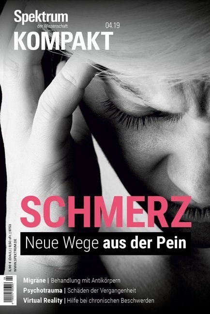 Schmerz (Paperback)