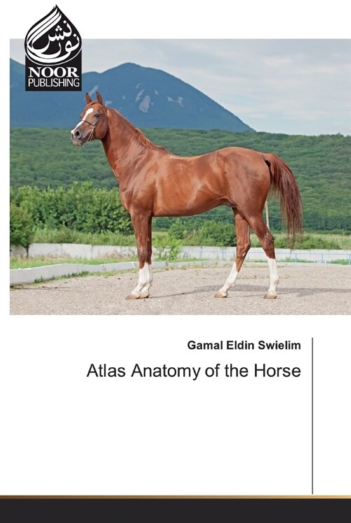Atlas Anatomy of the Horse (Paperback)