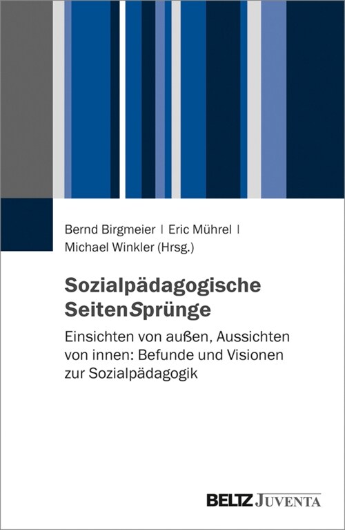 Sozialpadagogische SeitenSprunge (Paperback)