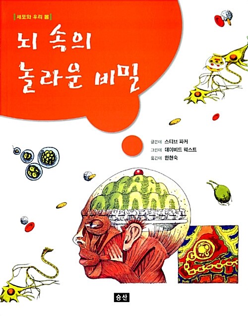 뇌 속의 놀라운 비밀