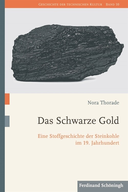 Das Schwarze Gold: Eine Stoffgeschichte Der Steinkohle Im 19. Jahrhundert (Hardcover)