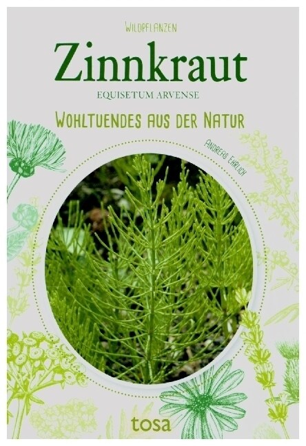 Zinnkraut (Paperback)