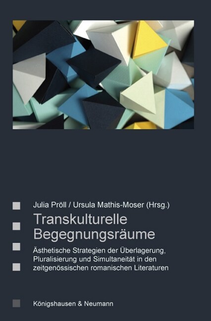 Transkulturelle Begegnungsraume (Paperback)