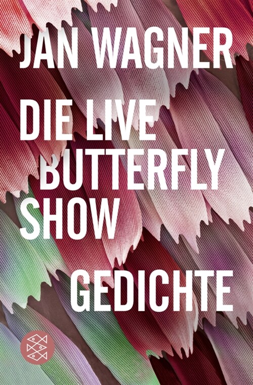 Die Live Butterfly Show (Paperback)