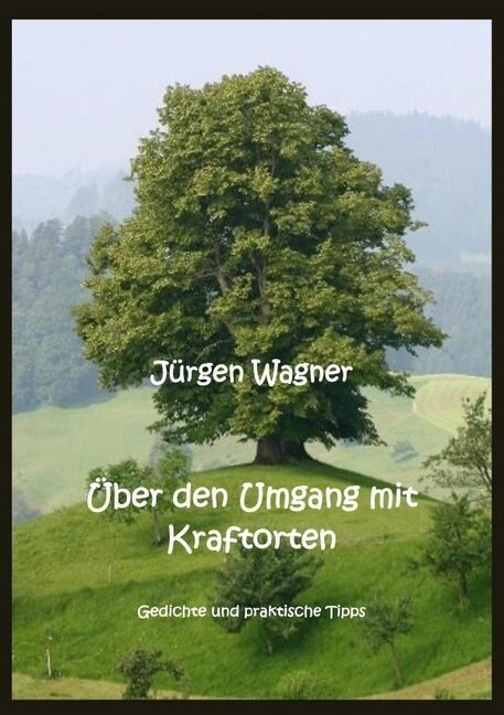 Uber den Umgang mit Kraftorten (Paperback)