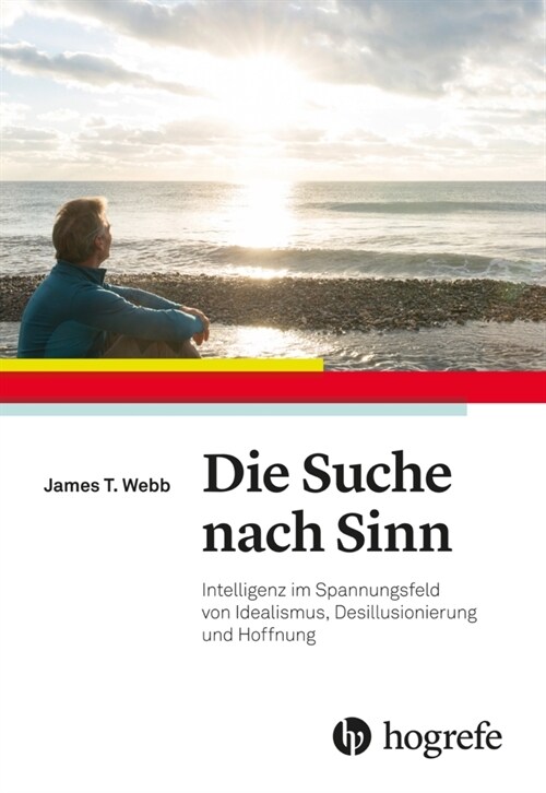 Die Suche nach dem Sinn (Paperback)