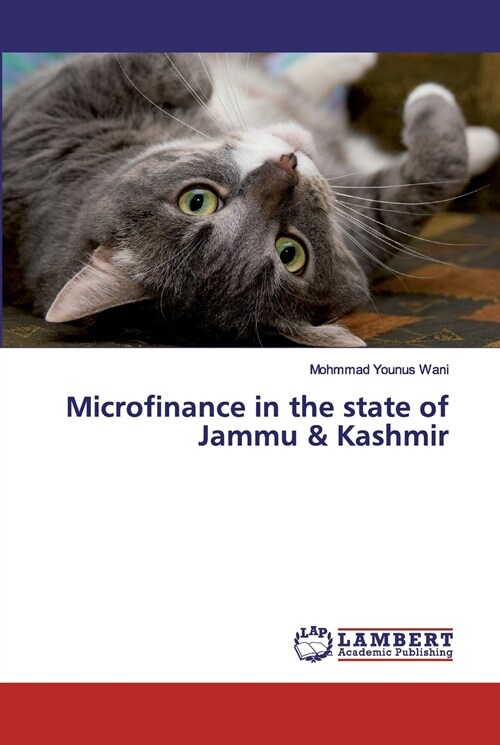 Microfinance in the state of Jammu & Kashmir (Paperback)