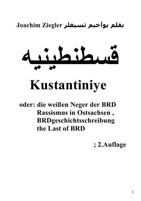 Kustantiniye oder: die weißen Neger der BRD Rassismus in Ostsachsen , BRDgeschichts (Paperback)