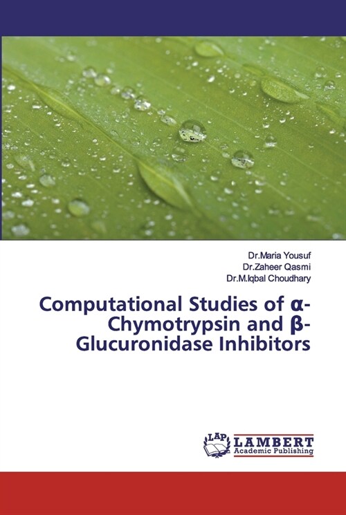 Computational Studies of α-Chymotrypsin and β-Glucuronidase Inhibitors (Paperback)