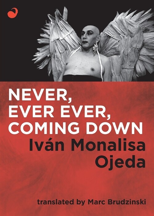 Never, Ever Ever, Coming Down (Paperback)