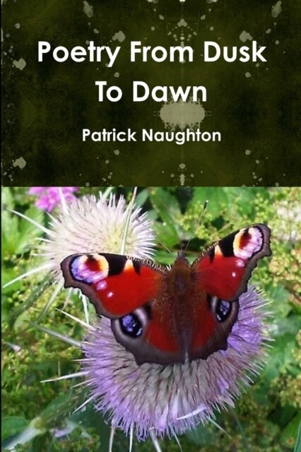 Poetry From Dusk To Dawn (Paperback)