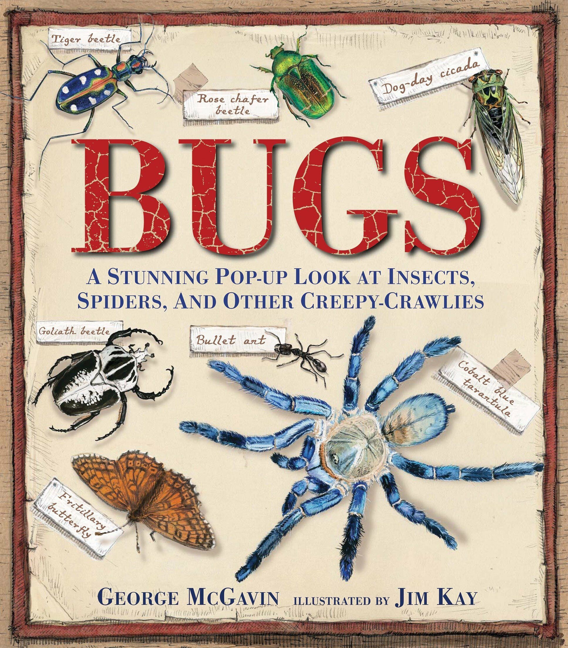 Bugs: A Stunning Pop-Up Look at Insects, Spiders, and Other Creepy-Crawlies (Hardcover)