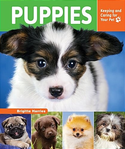 Puppies (Library Binding)