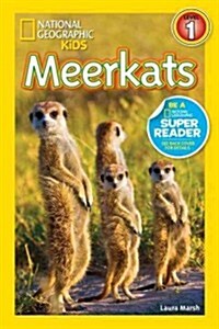 [중고] Meerkats (Paperback)