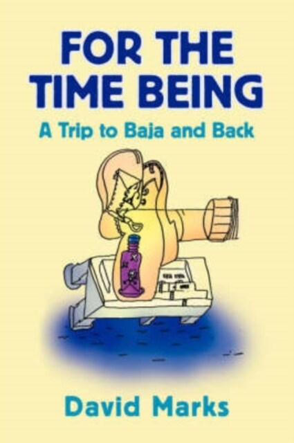 For the Time Being (Paperback)