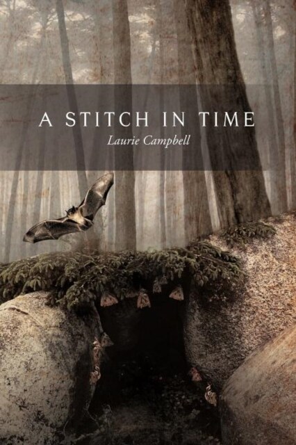 A Stitch in Time (Paperback)