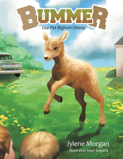 Bummer: Our Pet Bighorn Sheep (Paperback)