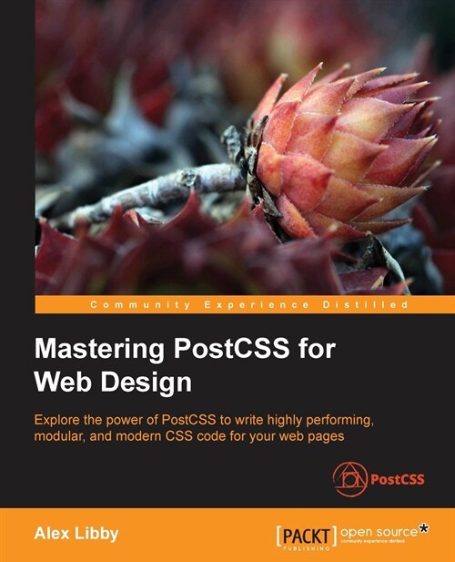 Mastering PostCSS for Web Design (Paperback)
