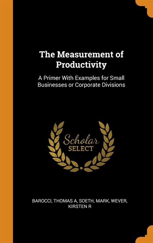 The Measurement of Productivity: A Primer With Examples for Small Businesses or Corporate Divisions (Hardcover)