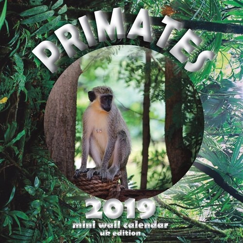 Primates 2019 Mini Wall Calendar (UK Edition) (Saddle (Staple))