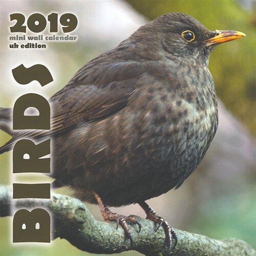 Birds 2019 Mini Wall Calendar (UK Edition) (Saddle (Staple))