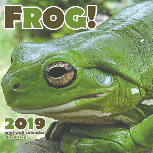 Frog! 2019 Calendar (UK Edition) (Saddle (Staple))
