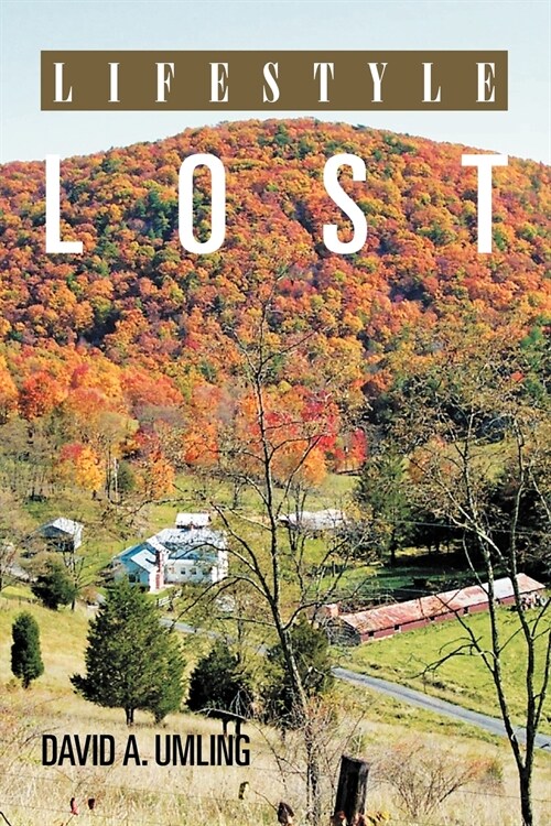 Lifestyle Lost (Paperback)