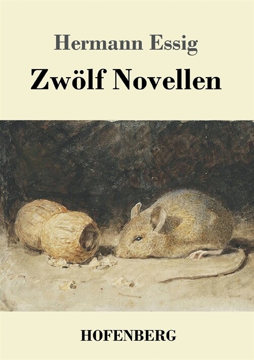 Zw?f Novellen (Paperback)