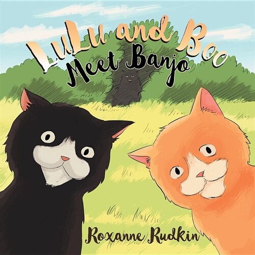 LuLu and Boo Meet Banjo (Paperback)