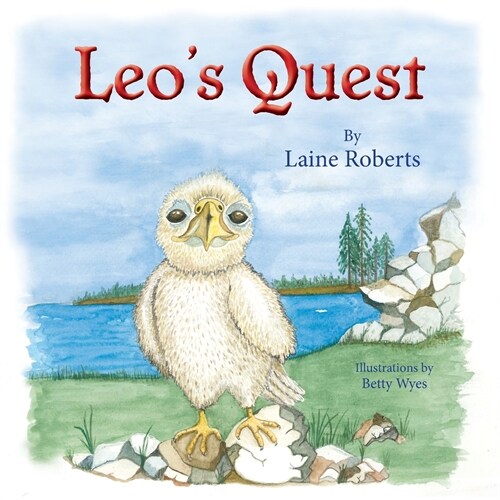 Leos Quest (Paperback)