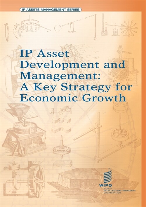 IP Assets Development and Management (Paperback)