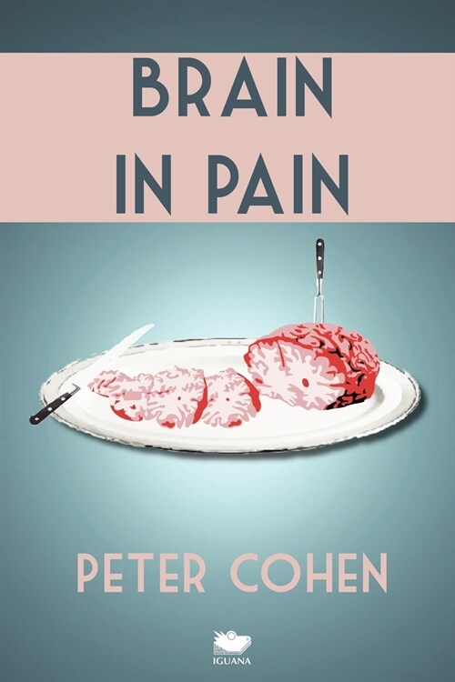 Brain in Pain: A Wounded Healers Heart-Wrenching and Heart-Warming Guide to Schizophrenia (Paperback)