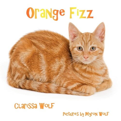 Orange Fizz (Paperback)