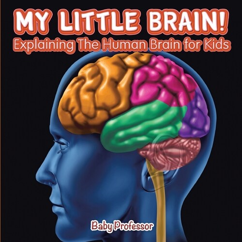 My Little Brain! - Explaining The Human Brain for Kids (Paperback)