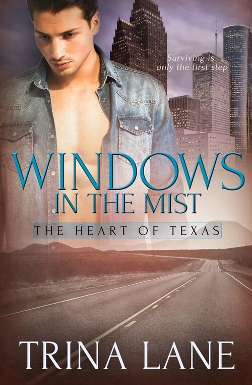 Windows in the Mist (Paperback)