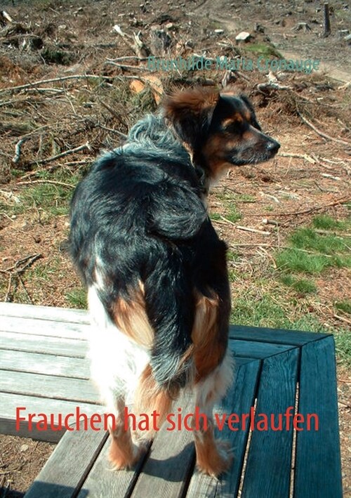 Frauchen hat sich verlaufen (Paperback)