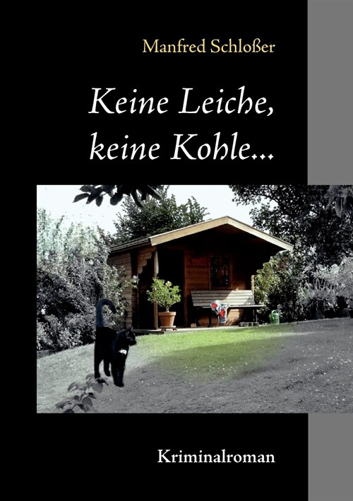 Keine Leiche, keine Kohle...: Kriminalroman (Paperback)