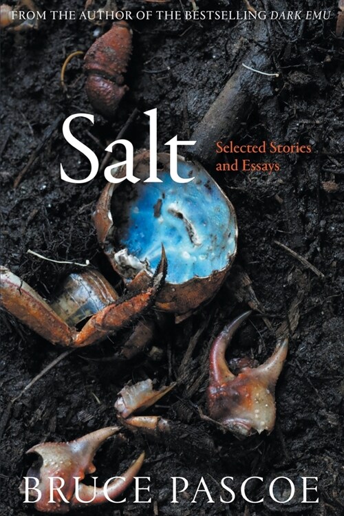 Salt: Selected Stories and Essays (Paperback)