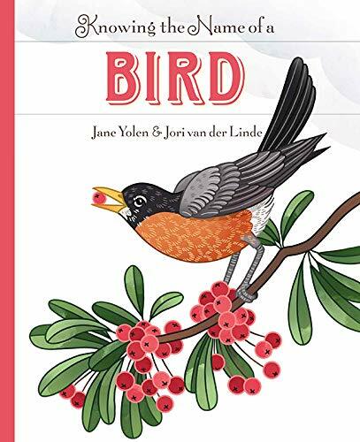 Knowing the Name of a Bird (Hardcover)