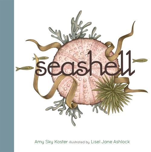 Seashell (Board Books)